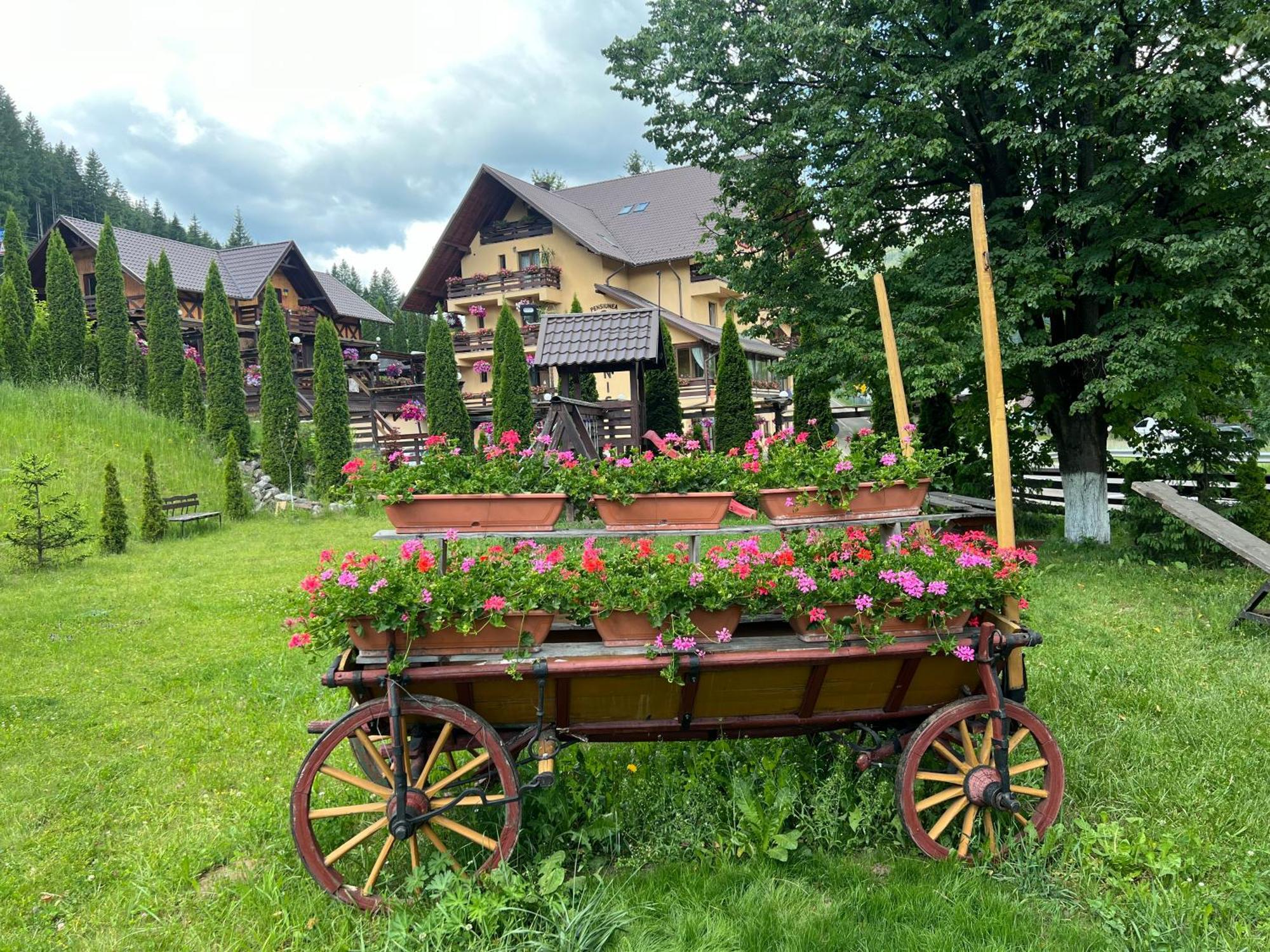 Pensiunea Vranis Sadova  Exterior photo